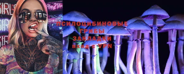 МДПВ Алексеевка